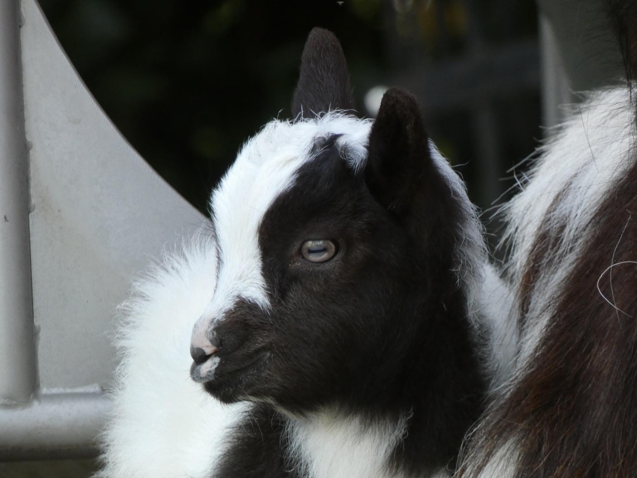 Image00056