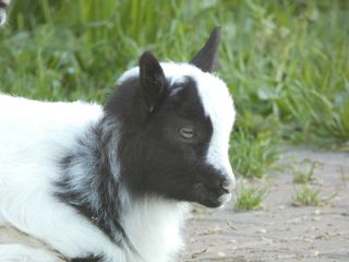 Image00046