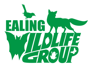 Eling Wildlife Group