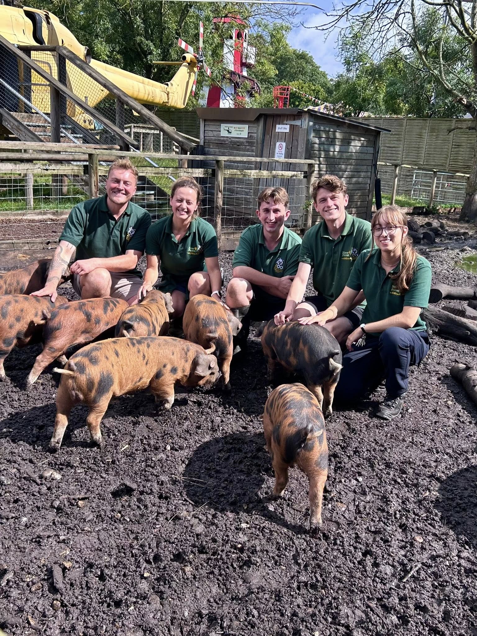 Piglets 2025